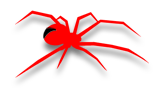 Redback Liftwear - Spider Logo